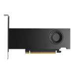 כרטיס מסך Nvidia RTX PRO 2000 Blackwell 16GB GDDR7 Bulk